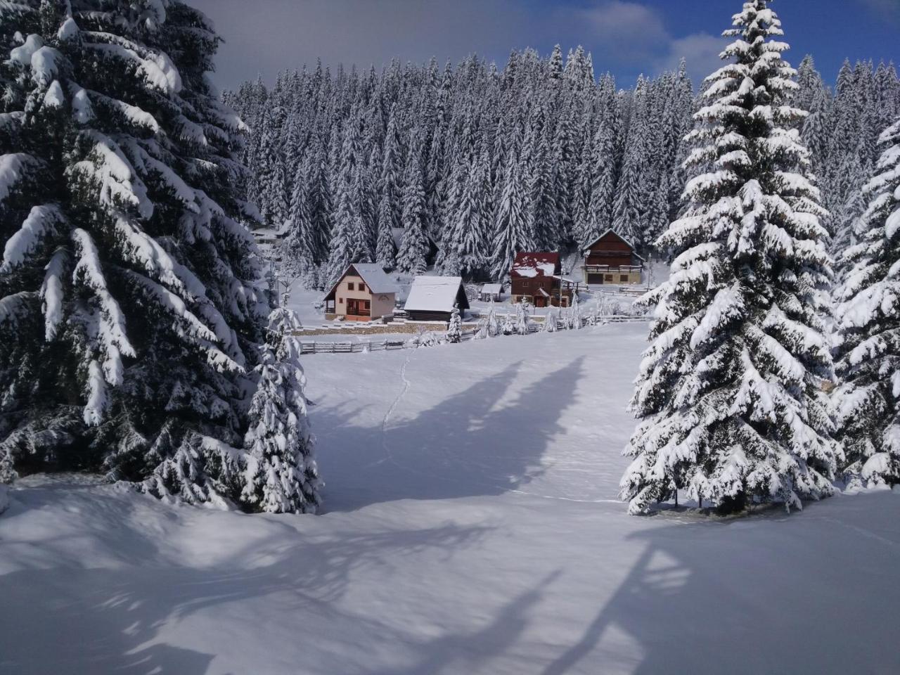 Apartment Durmitor Жабляк Экстерьер фото